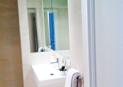 Bellevue Hill Bathroom Renovation