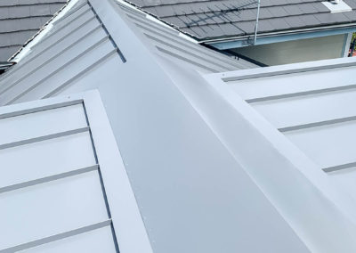 Double Bay Exterior Renovation